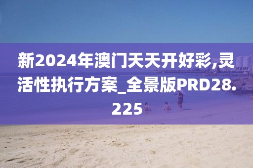 新2024年澳门天天开好彩,灵活性执行方案_全景版PRD28.225