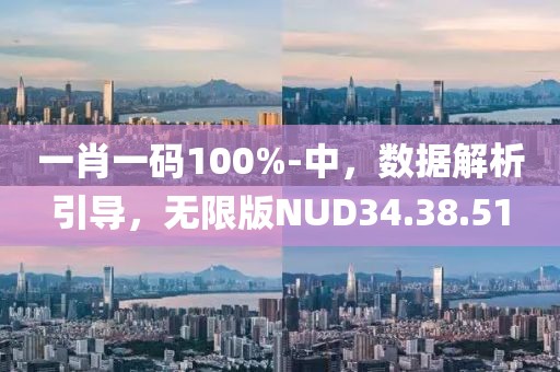 一肖一码100%-中，数据解析引导，无限版NUD34.38.51