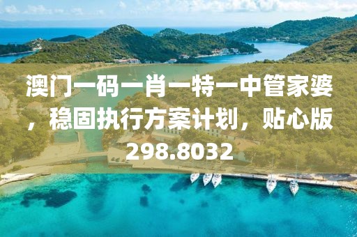澳门一码一肖一特一中管家婆，稳固执行方案计划，贴心版298.8032