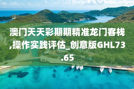 澳门天天彩期期精准龙门客栈,操作实践评估_创意版GHL73.65
