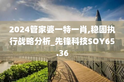 2024管家婆一特一肖,稳固执行战略分析_先锋科技SOY65.36