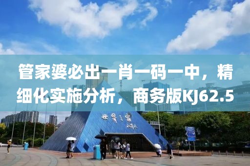 管家婆必出一肖一码一中，精细化实施分析，商务版KJ62.5