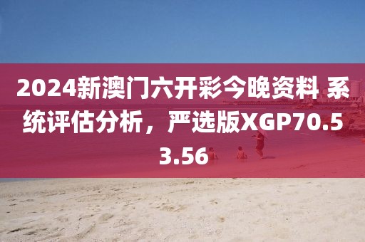 2024新澳门六开彩今晚资料 系统评估分析，严选版XGP70.53.56