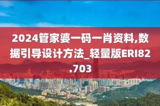 2024管家婆一码一肖资料,数据引导设计方法_轻量版ERI82.703