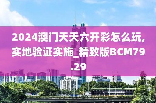 2024澳门天天六开彩怎么玩,实地验证实施_精致版BCM79.29