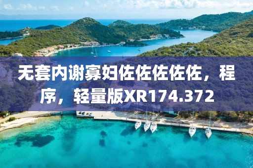 无套内谢寡妇佐佐佐佐佐，程序，轻量版XR174.372