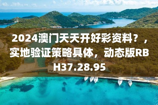 2024澳门天天开好彩资料？，实地验证策略具体，动态版RBH37.28.95