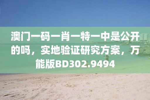 澳门一码一肖一特一中是公开的吗，实地验证研究方案，万能版BD302.9494