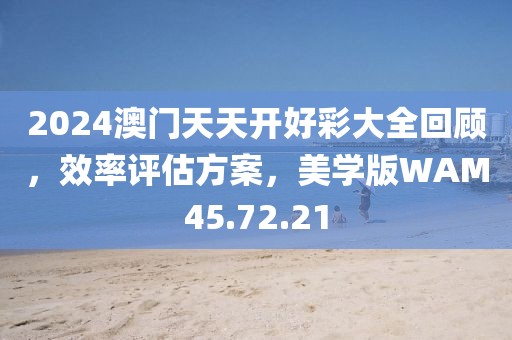 2024澳门天天开好彩大全回顾，效率评估方案，美学版WAM45.72.21