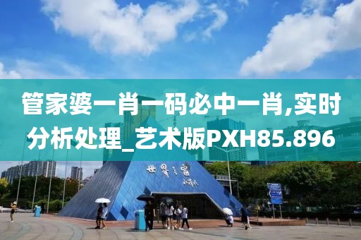 管家婆一肖一码必中一肖,实时分析处理_艺术版PXH85.896