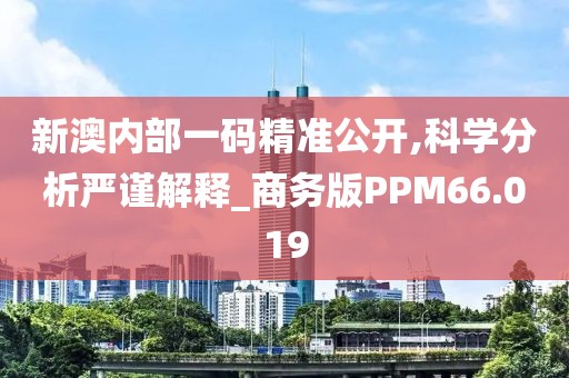 新澳内部一码精准公开,科学分析严谨解释_商务版PPM66.019
