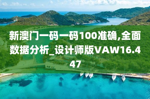 新澳门一码一码100准确,全面数据分析_设计师版VAW16.447