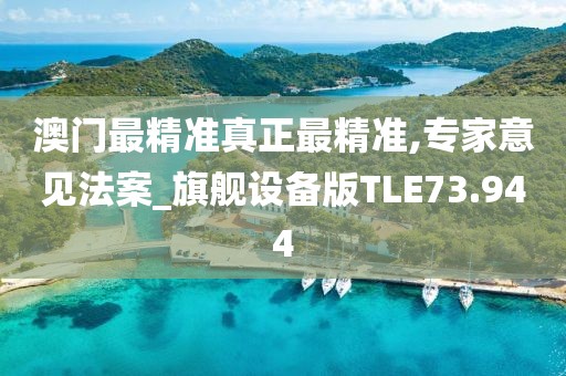 澳门最精准真正最精准,专家意见法案_旗舰设备版TLE73.944