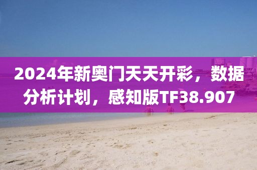 2024年新奥门天天开彩，数据分析计划，感知版TF38.907