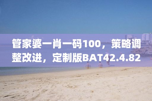 管家婆一肖一码100，策略调整改进，定制版BAT42.4.82