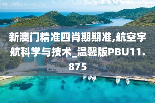 新澳门精准四肖期期准,航空宇航科学与技术_温馨版PBU11.875