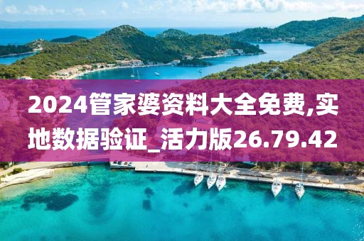 2024管家婆资料大全免费,实地数据验证_活力版26.79.42