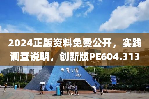 2024正版资料免费公开，实践调查说明，创新版PE604.313