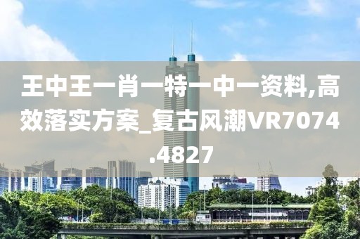 王中王一肖一特一中一资料,高效落实方案_复古风潮VR7074.4827