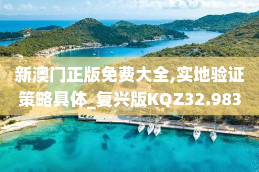 新澳门正版免费大全,实地验证策略具体_复兴版KQZ32.983