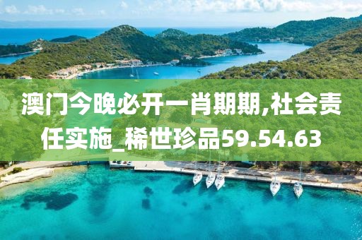 澳门今晚必开一肖期期,社会责任实施_稀世珍品59.54.63