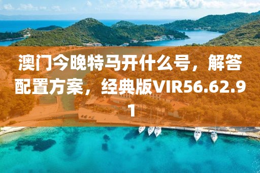 澳门今晚特马开什么号，解答配置方案，经典版VIR56.62.91