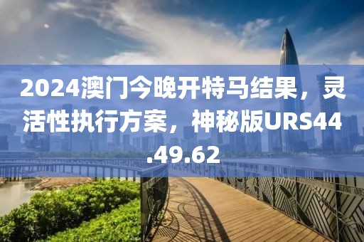2024澳门今晚开特马结果，灵活性执行方案，神秘版URS44.49.62