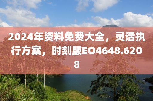 2024年资料免费大全，灵活执行方案，时刻版EO4648.6208