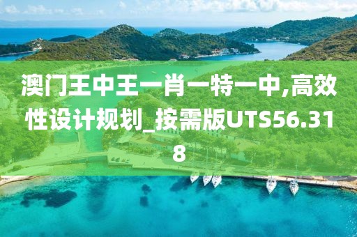 澳门王中王一肖一特一中,高效性设计规划_按需版UTS56.318