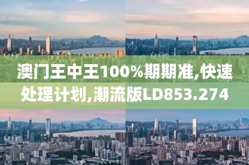 澳门王中王100%期期准,快速处理计划,潮流版LD853.274
