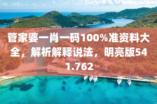 管家婆一肖一码100%准资料大全，解析解释说法，明亮版541.762