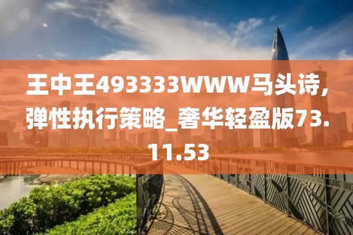 王中王493333WWW马头诗,弹性执行策略_奢华轻盈版73.11.53