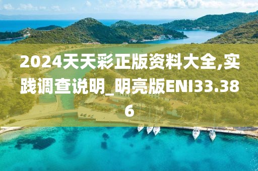 2024天天彩正版资料大全,实践调查说明_明亮版ENI33.386