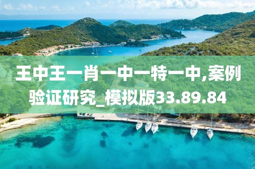 王中王一肖一中一特一中,案例验证研究_模拟版33.89.84