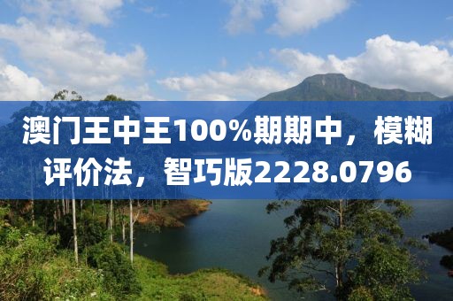澳门王中王100%期期中，模糊评价法，智巧版2228.0796