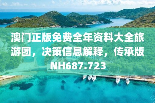 澳门正版免费全年资料大全旅游团，决策信息解释，传承版NH687.723