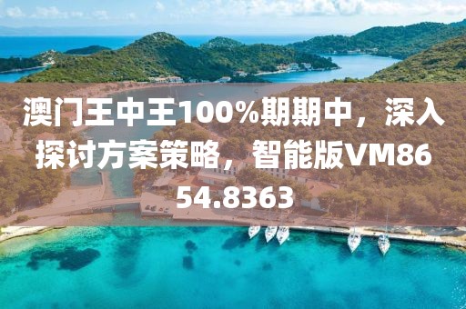 澳门王中王100%期期中，深入探讨方案策略，智能版VM8654.8363