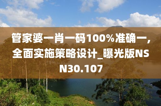 管家婆一肖一码100%准确一,全面实施策略设计_曝光版NSN30.107