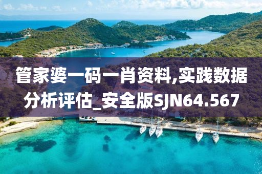 管家婆一码一肖资料,实践数据分析评估_安全版SJN64.567