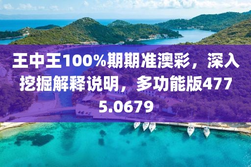王中王100%期期准澳彩，深入挖掘解释说明，多功能版4775.0679