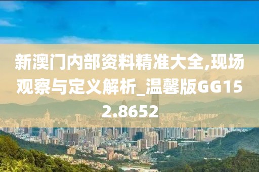 新澳门内部资料精准大全,现场观察与定义解析_温馨版GG152.8652