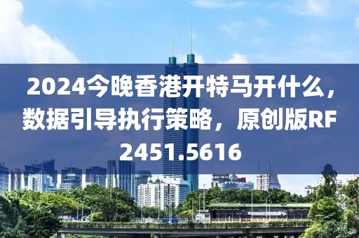 2024今晚香港开特马开什么，数据引导执行策略，原创版RF2451.5616