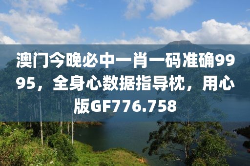 澳门今晚必中一肖一码准确9995，全身心数据指导枕，用心版GF776.758