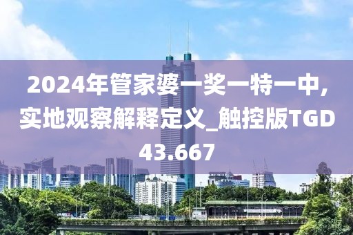 2024年管家婆一奖一特一中,实地观察解释定义_触控版TGD43.667