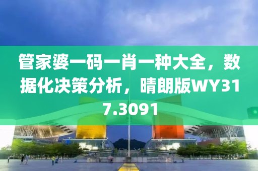 管家婆一码一肖一种大全，数据化决策分析，晴朗版WY317.3091
