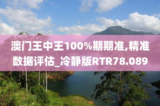 澳门王中王100%期期准,精准数据评估_冷静版RTR78.089