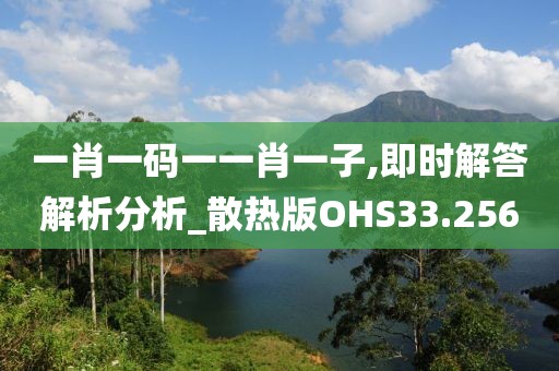 一肖一码一一肖一子,即时解答解析分析_散热版OHS33.256
