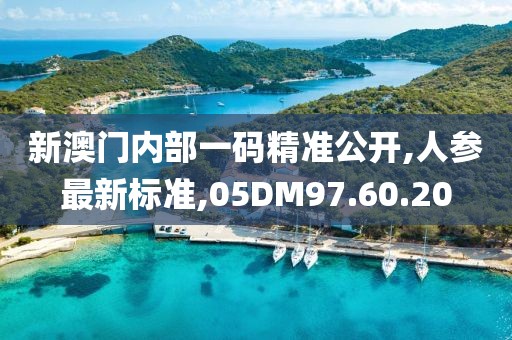 新澳门内部一码精准公开,人参最新标准,05DM97.60.20