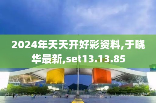 2024年天天开好彩资料,于晓华最新,set13.13.85