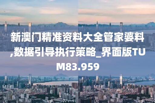 新澳门精准资料大全管家婆料,数据引导执行策略_界面版TUM83.959